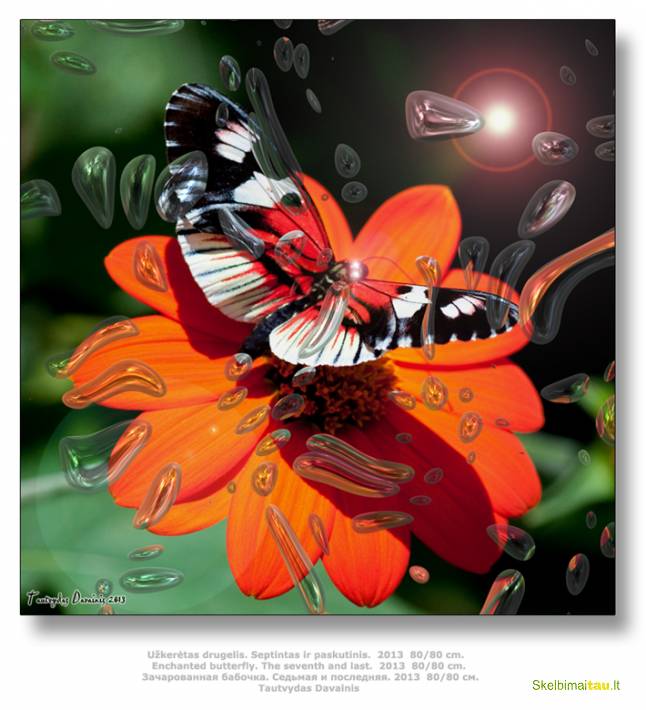 Autoriniai grafikos darbai jūsų namui,butui,ofisui