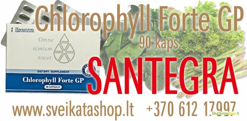 Chlorophyll forte gp 90 kaps - maisto papildas santegra