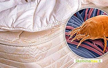 Ekologinių pažeidimų patalpose tyrimai