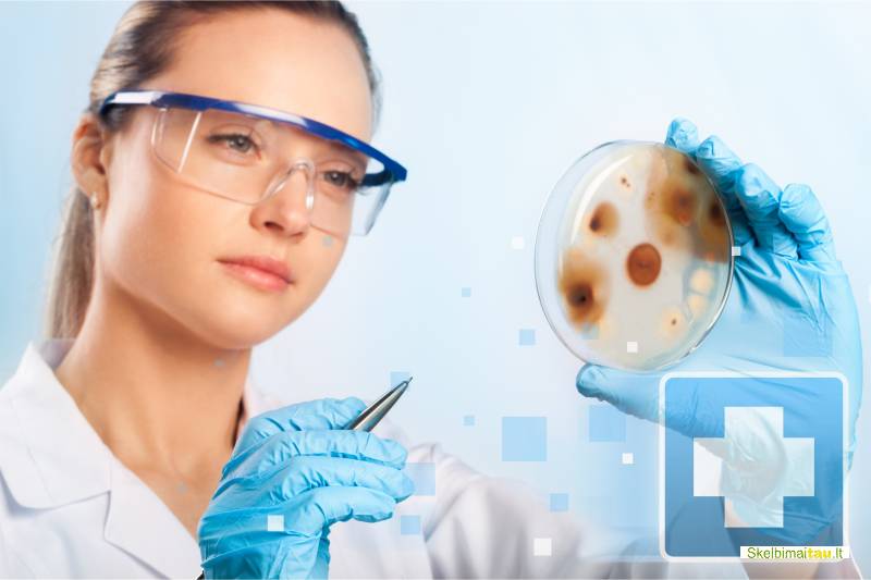 Ekologinių pažeidimų patalpose tyrimai