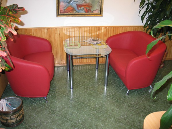 Minštų baldų restauravimas