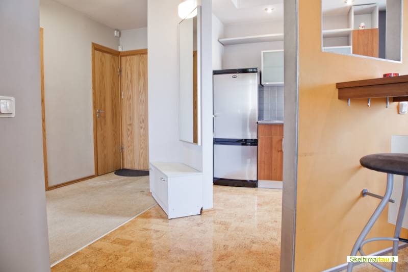 Trumpalaike 2 k. nuoma kaune, žaliakalnyje