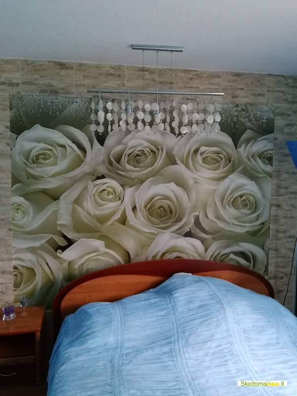 Namas su ūkiniu priestatu šilutėje