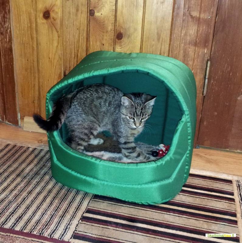 Namelis katei,katino namelis vilniuje nuo 30 lt