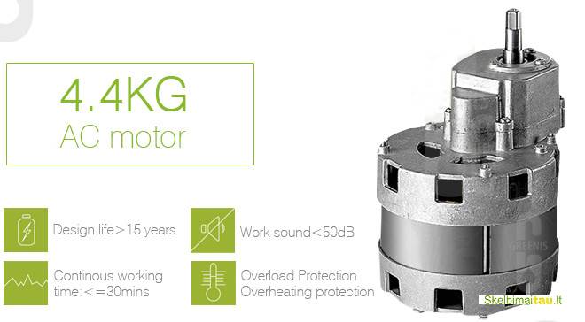 Nebrangi letaeige sulciaspaude greenis-f9010