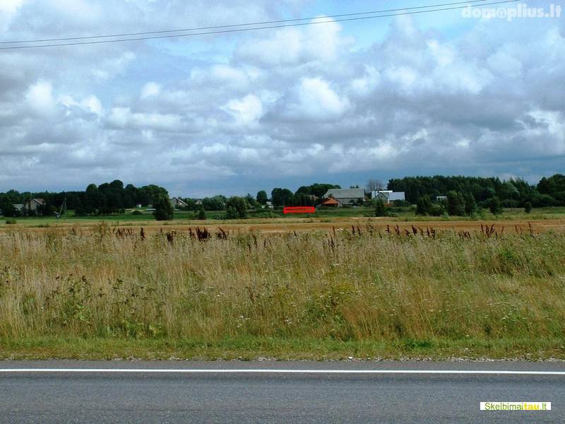 Sklypas 11 km. nuo  panevėžio m.   uliūnai,  pušyno g.  24 e
