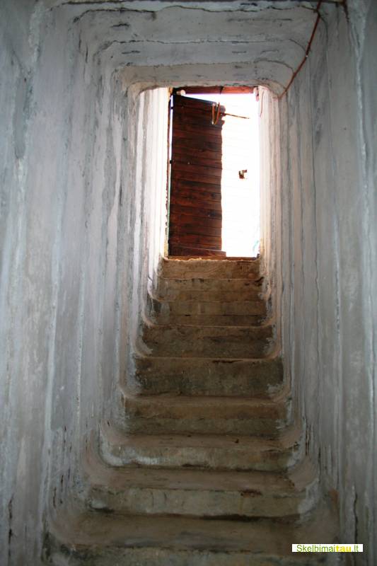 Parduodamas lauko rūsys