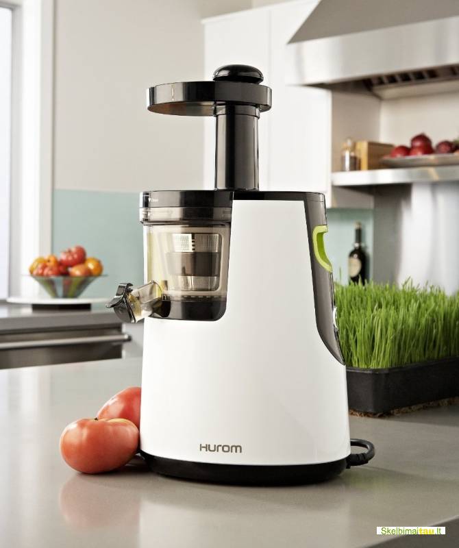 Populiariausios lėtaeigės sulciaspaudės hurom-hh