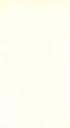 Slovakų gamybos keraminės glazūruotos sieninės plytelės