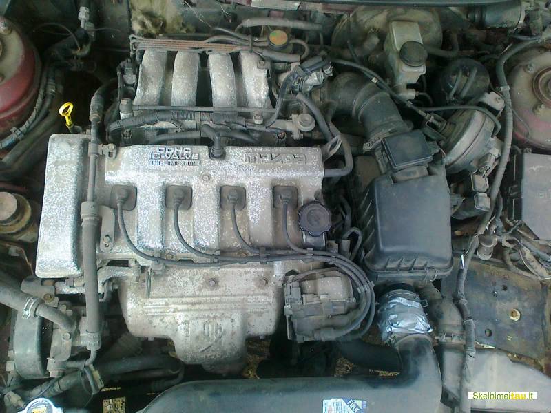 Euro impex utena    tel 37068744056 868744056    svetain