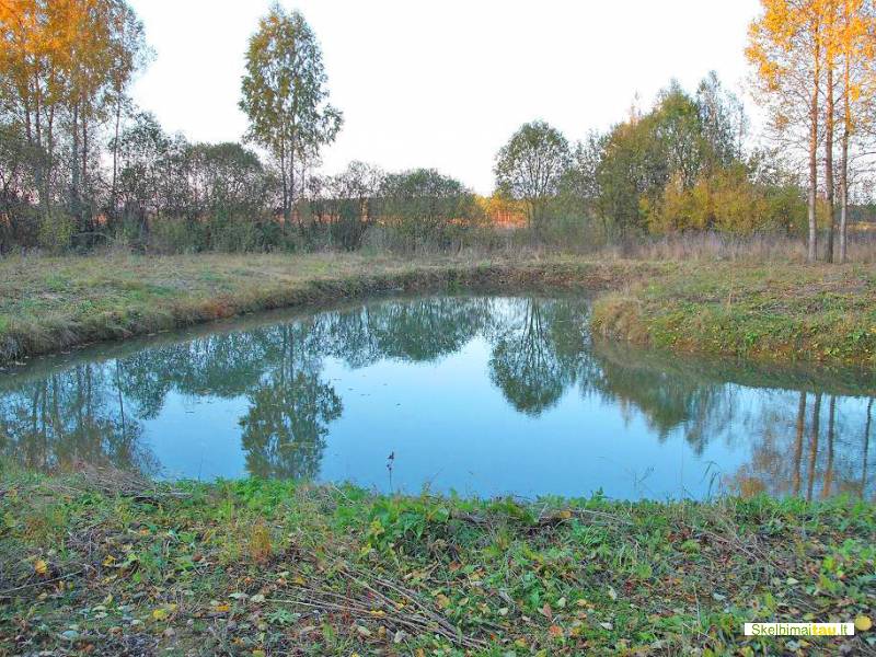 Unikali sodyba anykščių r. 37500 lt.