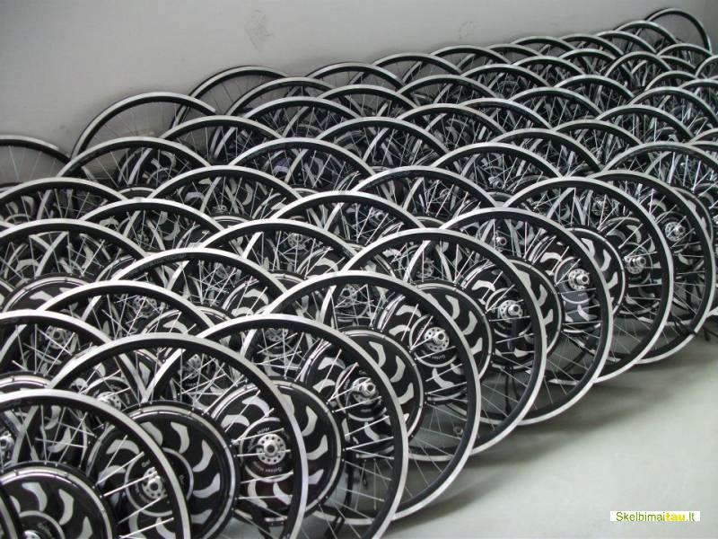 Elektrinis dviratis per 30 min