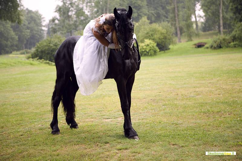 Jojimas ir fotosesijos su gražuoliu fryzų veislės žirgu