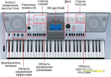 Manualai yamaha, korg , roland casio firmos instrumentam.