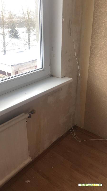 Profesionalus pelėsio naikinimas