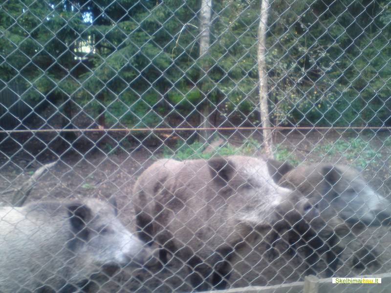 Tvoros žemes ūkiui