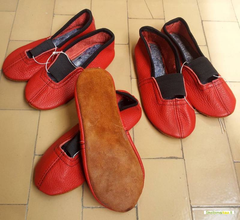 Češkės, gimnastikos bateliai,verstinukės,чешки