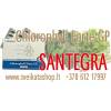 Chlorophyll forte gp 90 kaps - maisto papildas santegra