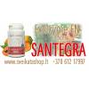 Exclzyme en 60 tabl - maisto papildas santegra / 8 612 17997