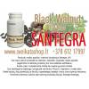 Black walnut 100 kaps maisto papildas santegra / 8 612 17997